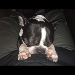 Meet your Posher, Amanda